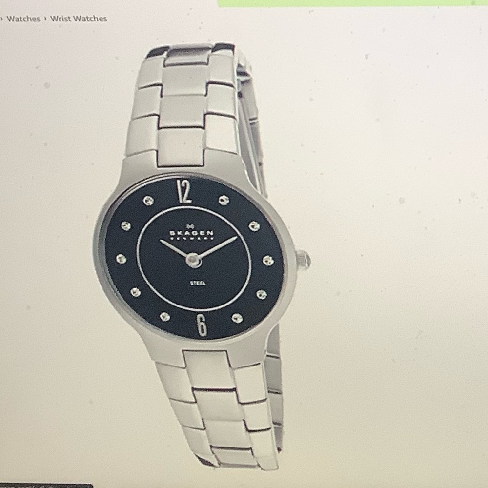 Skagen Contemporary Silver Link Women’s Watch